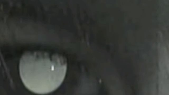 Lean? Max Valenzuela (Strange Human)