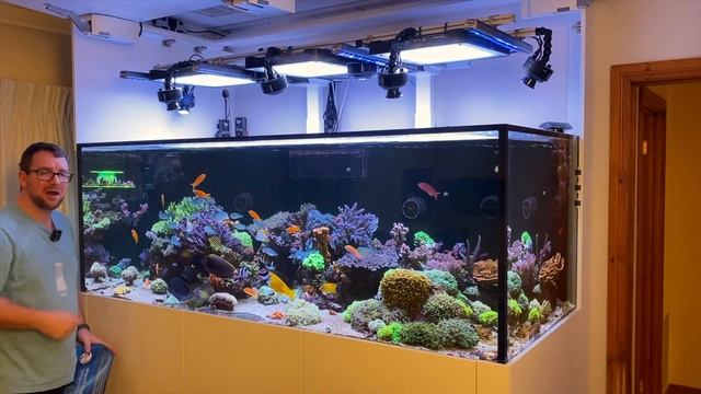 2 New Flipper Products - Frag Rack & Max Edge!