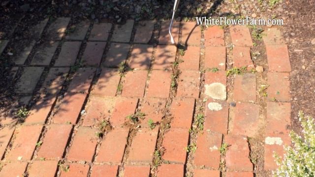 How to Use a Swoe смотреть онлайн