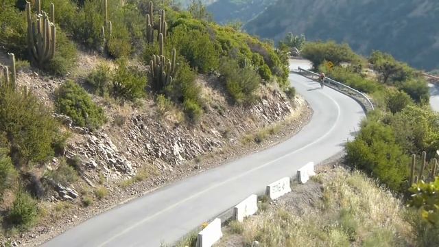 salsa fargo en accion