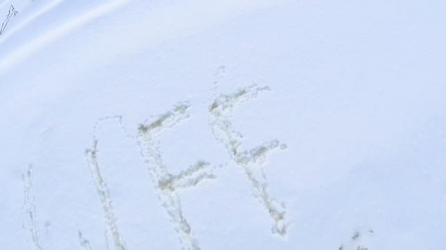 Митрич Life Заставка. смотреть онлайн