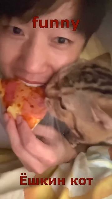 Самые смешные ЖИВОТНЫЕ 41 #shorts #comedyvideo #funnyanimals смотреть онлайн