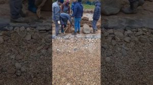 продолжаем оформлять камнем, берег водоёма.