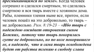 190.  Можно ли топить слепых котят?