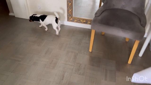 Шить это мое любимое дело 💁🏼♀️Шью на лето 🌞 Готовлюсь к лету 💁🏼♀️жакет и платье 👗 смотреть онлайн