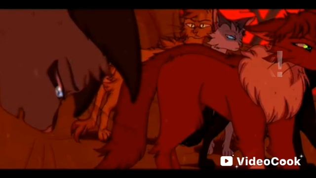 Коты-Воители Уголёк и зеркало смотреть онлайн