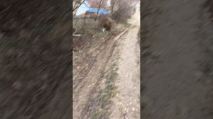 Изучаем окрестности, январь.