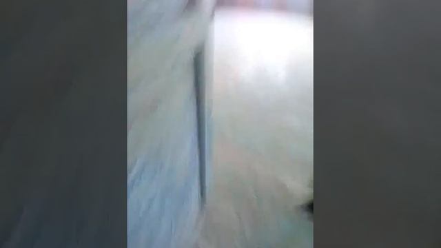 Барский дом часть 1