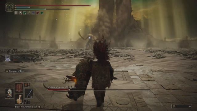 Elden Ring Consort of Miquella Second Phase Heavy Sword Lance Shield Strength Build Strategy смотреть онлайн