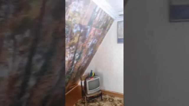 СНТ Полёт 23.03.23 смотреть онлайн