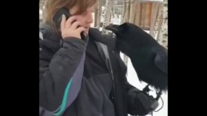 ворон разговаривает на человеческом языке