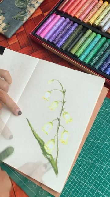 lily of the valley #botanicalart #art #botanicaldrawing #crayondrawing #drawing #pastelcolourart