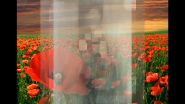 Флешмоб "Ніколи знову" смотреть онлайн