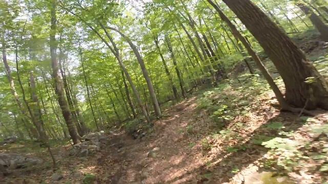 Mountain Biking Allamuchy State Park With Salsa Bucksaw Full Suspension Fatbike смотреть онлайн