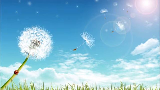 Update Video! +BIG ANNOUNCEMENT :D [Party Rock Anthem instrumental DOWNLOAD IN DESCRIPTION] смотреть онлайн