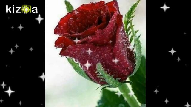 Слайд-шоу: Я & ТЫ