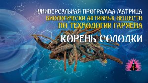 Корень солодки 🔊 программа матрица по технологии Гаряева П.П ☀️ SoftRadio.ru