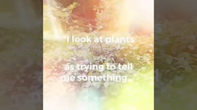 Gabe Brown’s Advice On Invasive Species смотреть онлайн