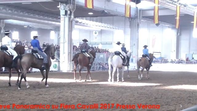 Fiera Cavalli 2017 ۞ Verona ۞ Panoramica смотреть онлайн