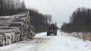 вывоз леса с делянки на склад КамАЗ 4310 лесовоз