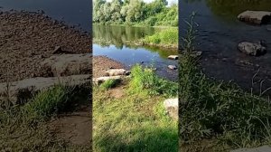 Река Цна г Сасово