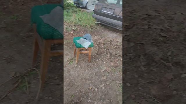 Уборка - ПРИМЕР ДОБРА ДЛЯ ЧЕЛОВЕЧЕСТВА!!! #тимартдан #добро #видеодневник смотреть онлайн