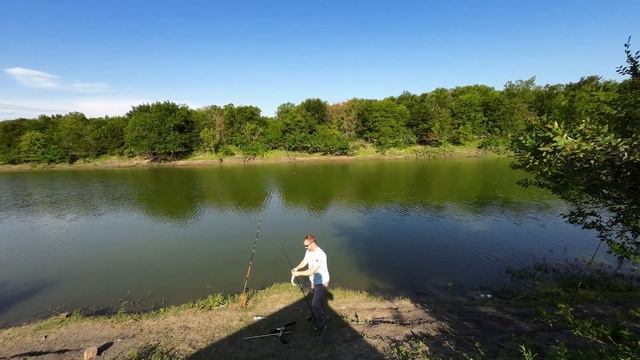 What in Tarnation is this? (bucket list catch) смотреть онлайн