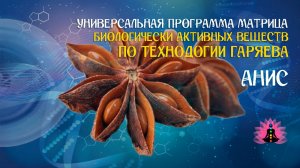 Анис 🔊 программа матрица по технологии Гаряева П.П ☀️ SoftRadio.ru