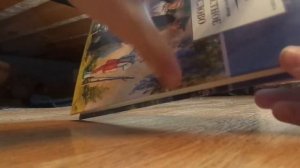 моя новая копилка на iphone