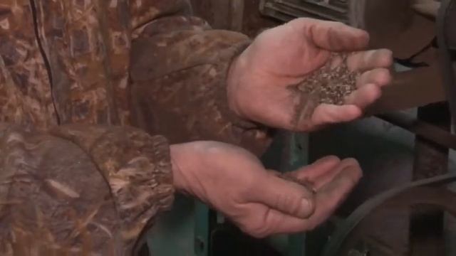 АУ РБ "Заиграевский лесхоз" смотреть онлайн