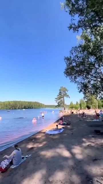 🌊Медное озеро под Петербургом #avery_saintpeterburg #санктпетербург #питер