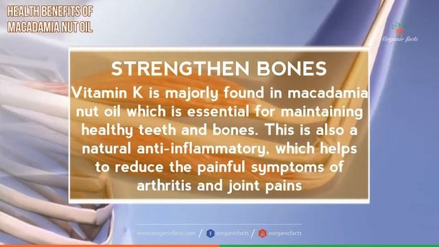 Best Health Benefits Of Macadamia Nut Oil | Benefits Of Macadamia Nut Oil