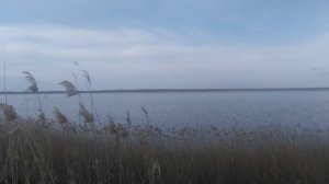 Речка , камыш , небо