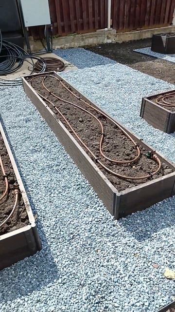 Укладка рулонного газона / Зона огорода с грядками из ДПК с капельным автополивом смотреть онлайн