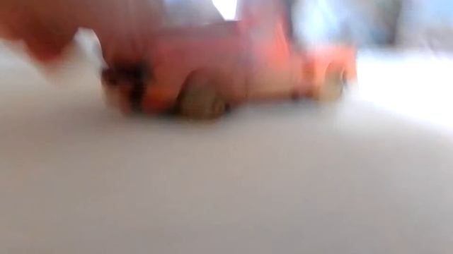 зебра подарила подарок