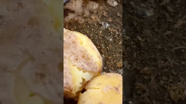 ГАРНИР К КУРОЧКЕ В ДУХОВКЕ