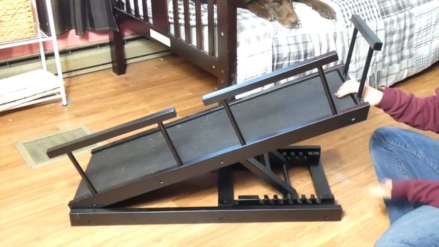 Chasing Tails Adjustable Height Dog Ramp смотреть онлайн