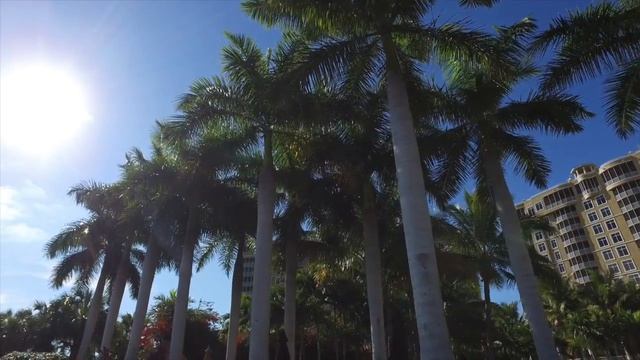 DJI OSMO, Tarpon Point Marina Cape Coral FL