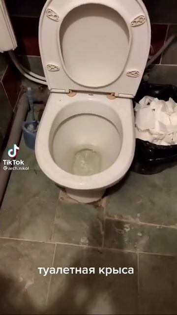 Туалетная Крыса смотреть онлайн