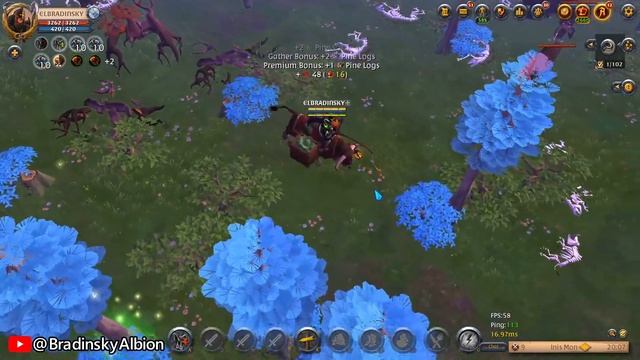 NECESITO 99999999 de MADERA T4, NO ME LA PUEDEN REGALAR con BRADINSKY ALBION смотреть онлайн