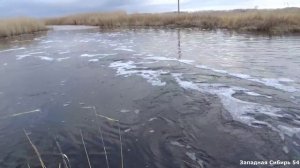 Болотный ручей меня не подвёл. Рыбалка на паук.