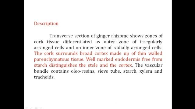 Pharmacognosy of Ginger смотреть онлайн
