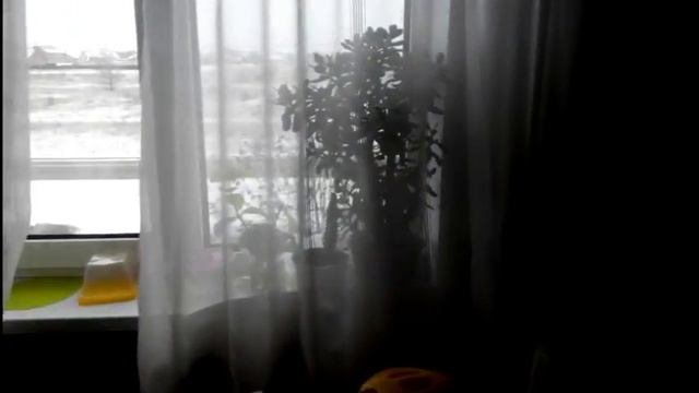 Самое вкусное пирожное.