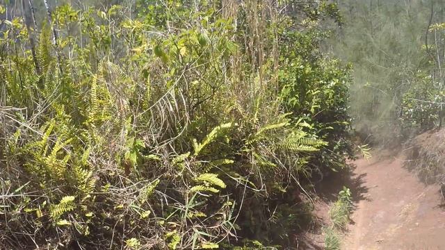 motocross trail pt2 04/02/17 cholocoi riders смотреть онлайн