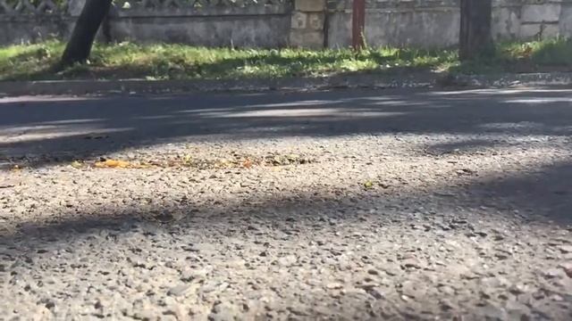 Слива против скейт смотреть онлайн