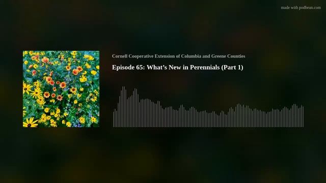 Episode 65: What’s New in Perennials (Part 1) смотреть онлайн