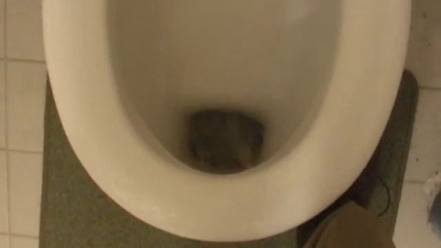 Verrücktes WC смотреть онлайн
