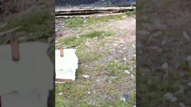 DRONE HX 06, SPIL TERBANG INDOR DAN AOUTDOR, SERTA HASIL KAMERA смотреть онлайн