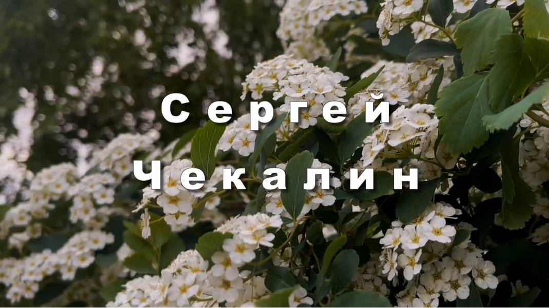 Сергей Чекалин, МЫ ЛЮБИМ, инструментальная музыка для души
