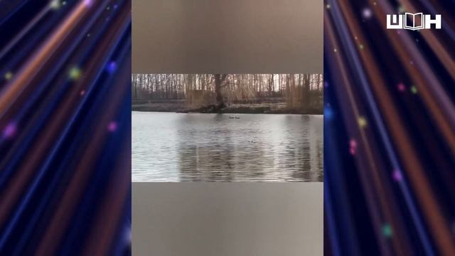 ДЕНЬ ЗЕМЛІ - 22.04.2021